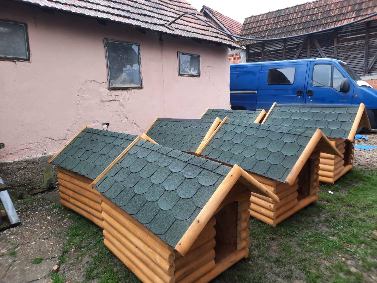 CEZAR 110x100 (Šar Planinac)