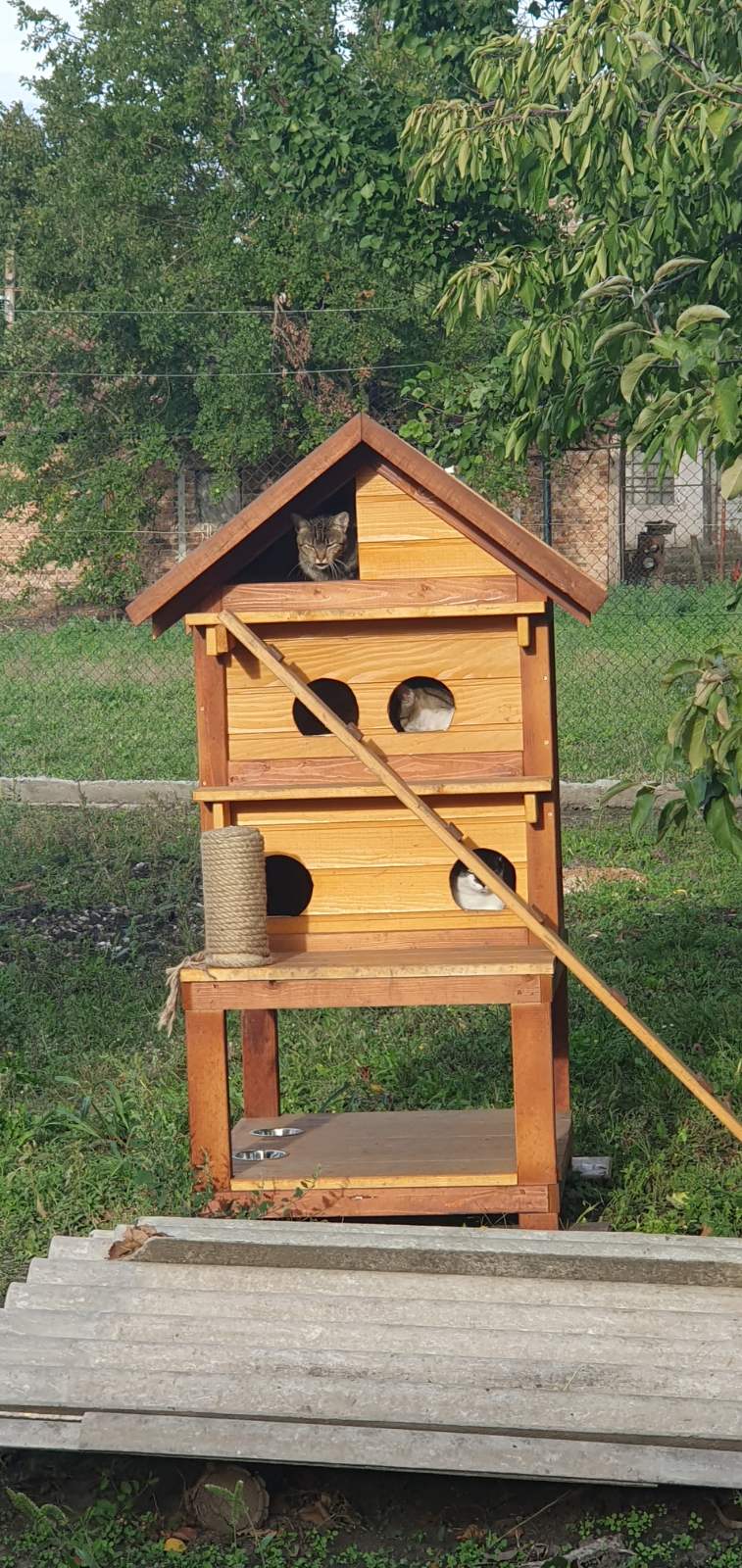 GARFILD (Za 5 mačaka)