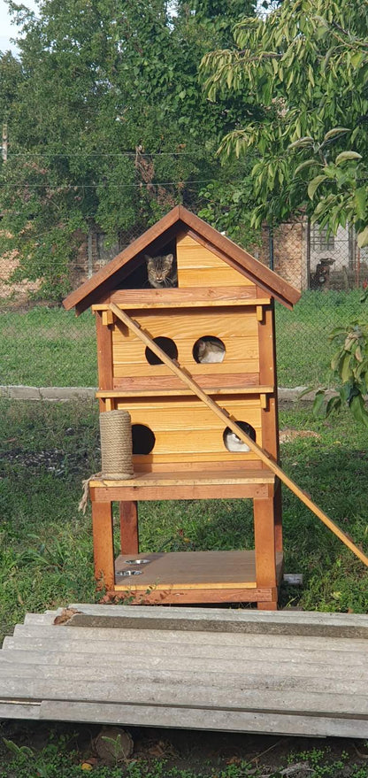 GARFILD (Za 5 mačaka)